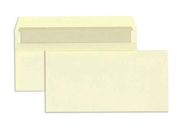 100 Briefumschläge Kuverts DIN lang 110 x 220 mm Selbstklebung ohne Fenster